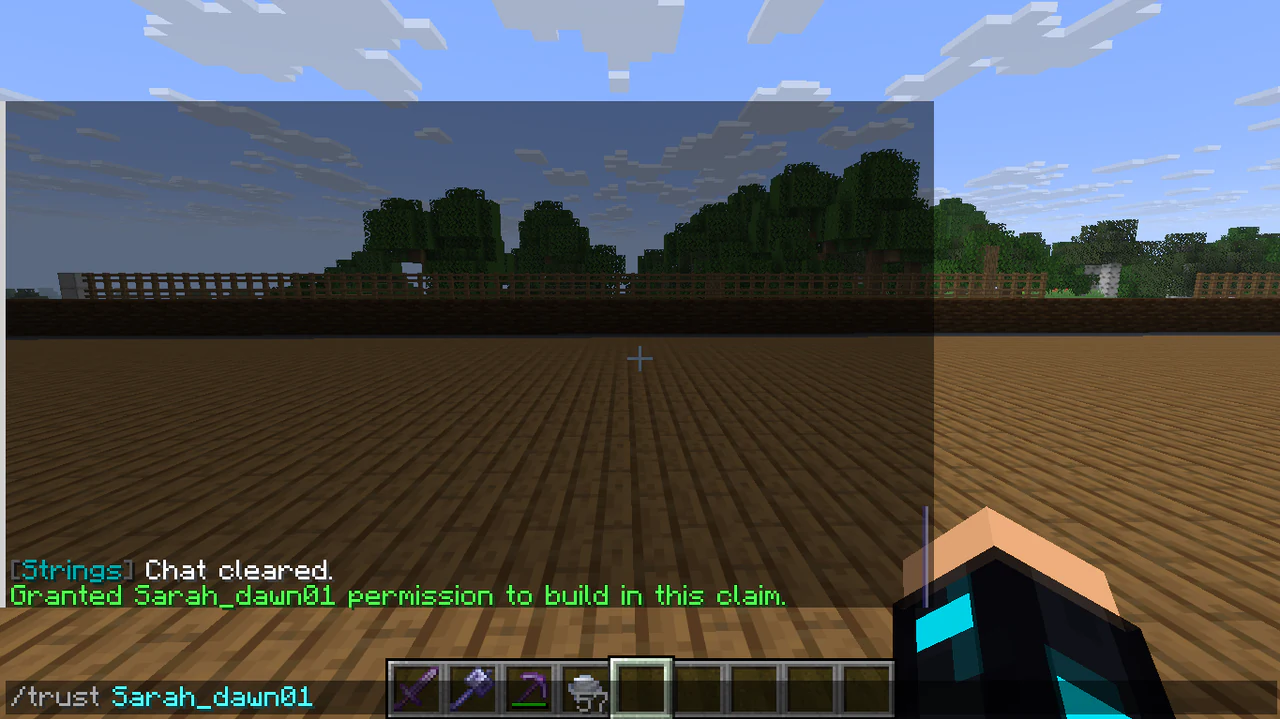 Minecraft chat confirming that another player received building permission